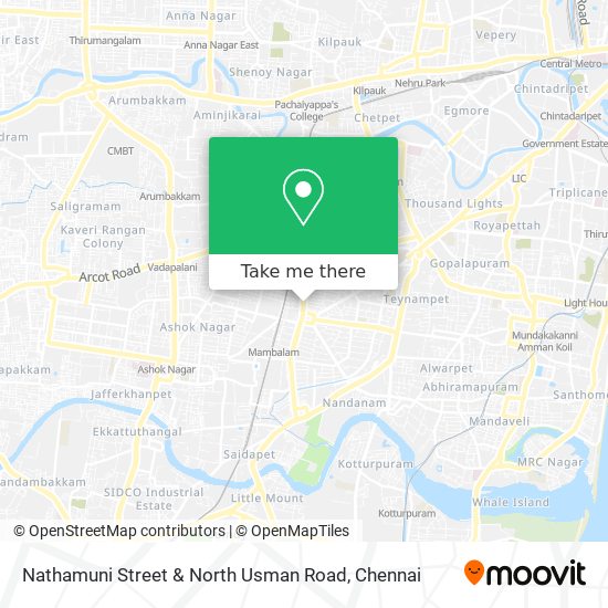 Nathamuni Street & North Usman Road map