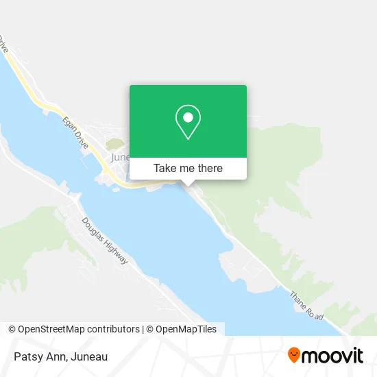 Patsy Ann map