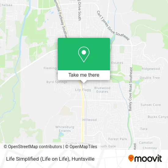 Life Simplified (Life on Life) map