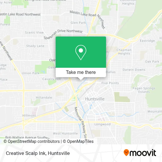 Creative Scalp Ink map