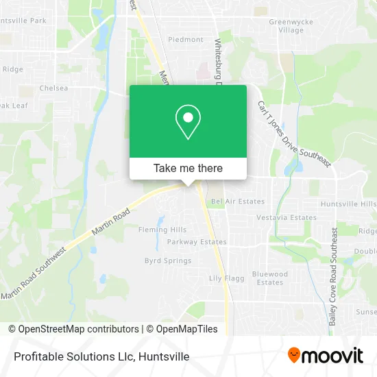 Profitable Solutions Llc map