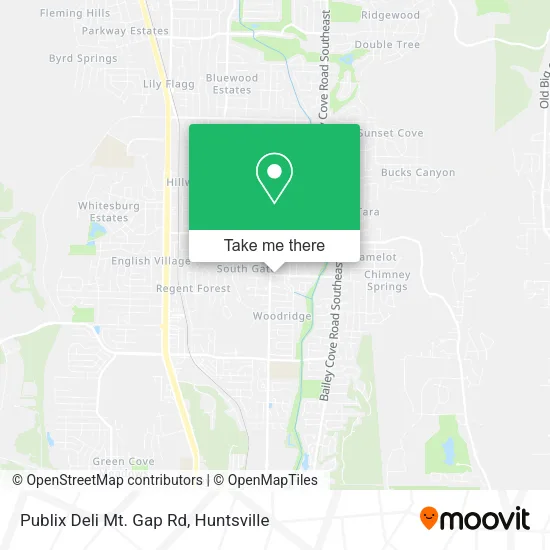 Publix Deli Mt. Gap Rd map