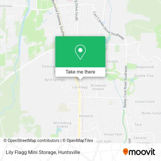Lily Flagg Mini Storage map