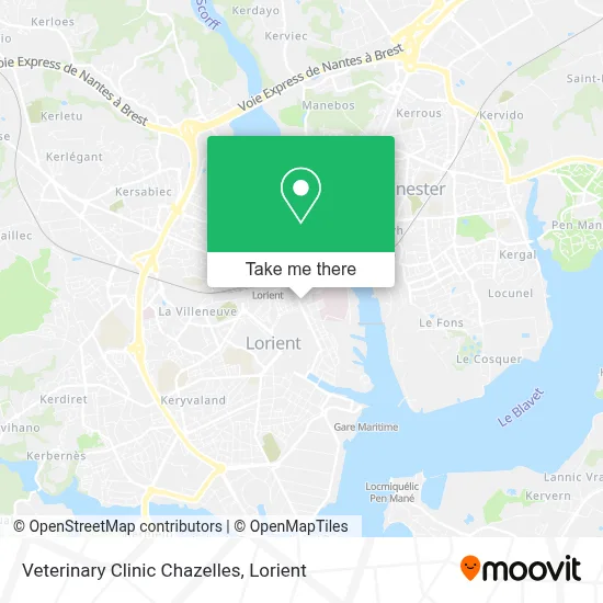 Veterinary Clinic Chazelles map