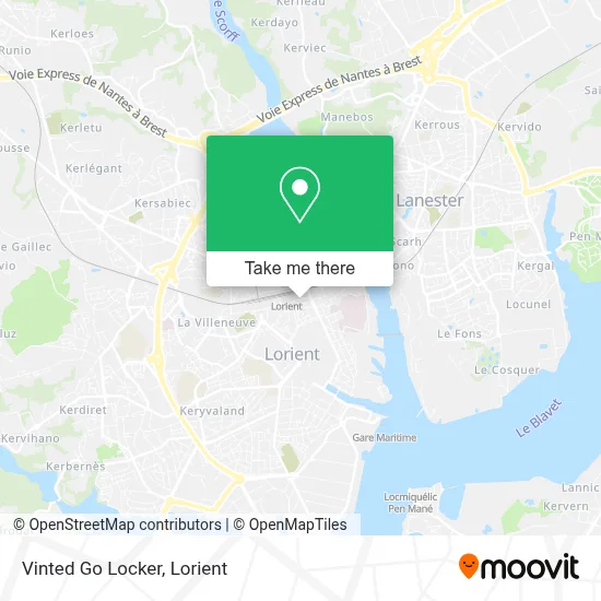 Vinted Go Locker map