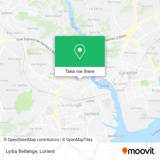 Lydia Bellange map