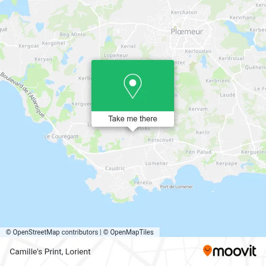 Camille's Print map