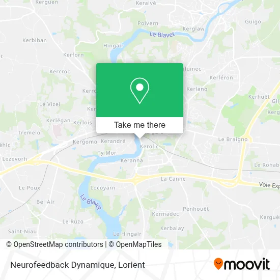 Neurofeedback Dynamique map
