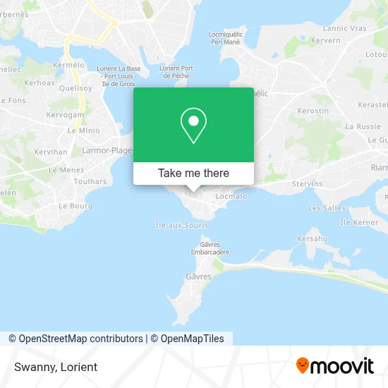 Swanny map