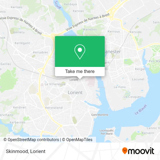Skinmood map