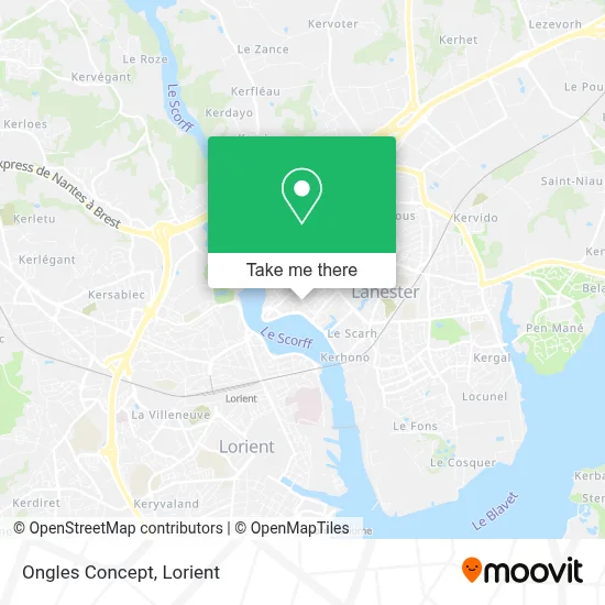 Ongles Concept map