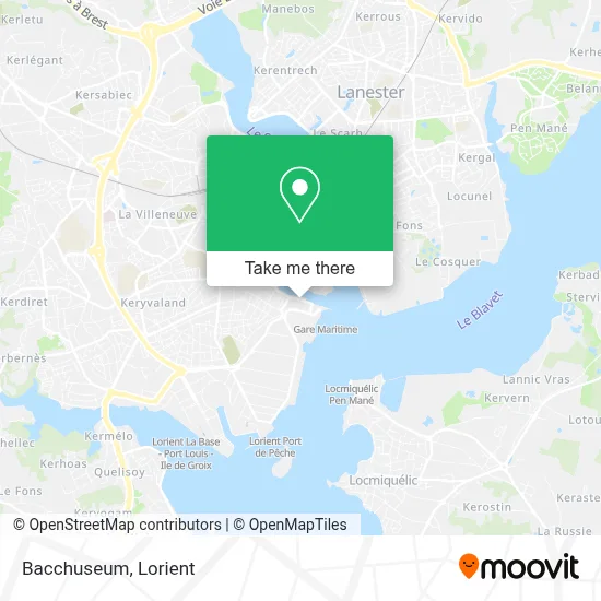 Bacchuseum map