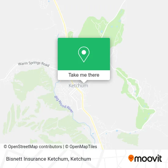 Bisnett Insurance Ketchum map