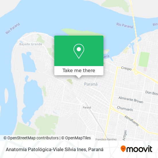 Mapa de Anatomía Patológica-Viale Silvia Ines