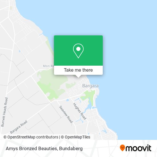 Amys Bronzed Beauties map