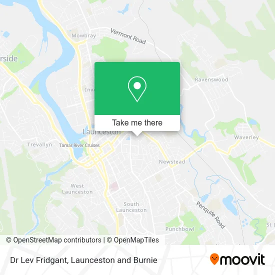 Dr Lev Fridgant map