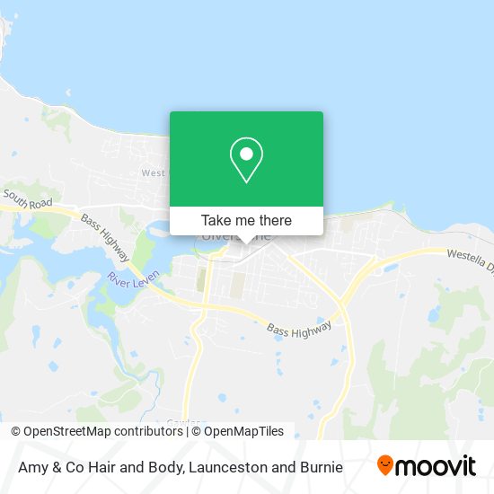 Amy & Co Hair and Body map