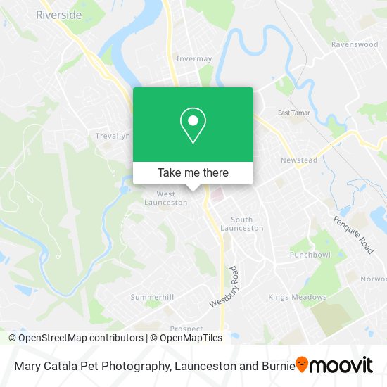 Mary Catala Pet Photography map