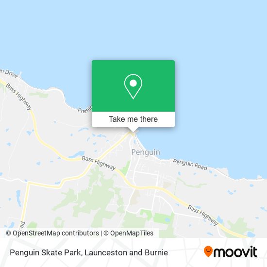 Penguin Skate Park map