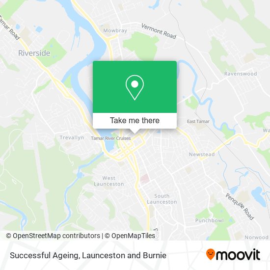 Successful Ageing map
