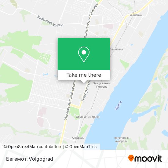Бегемот map