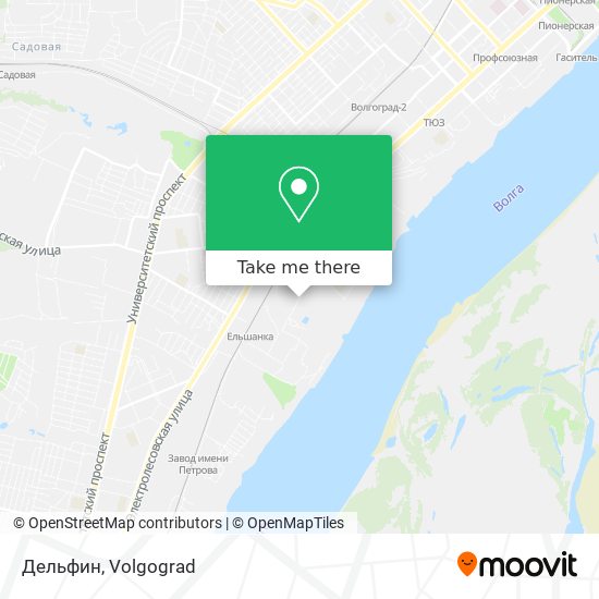Дельфин map
