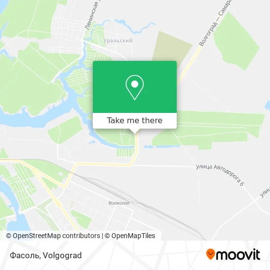 Фасоль map