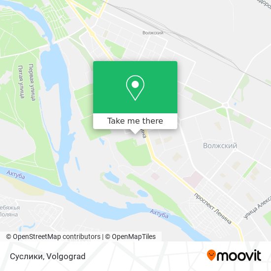 Суслики map