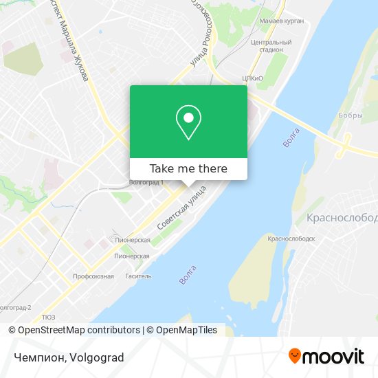 Чемпион map