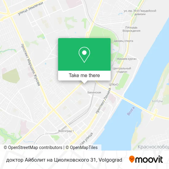 доктор Айболит на Циолковского 31 map