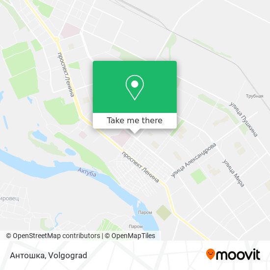 Антошка map