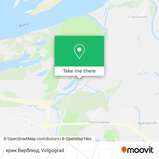 ерик Верблюд map