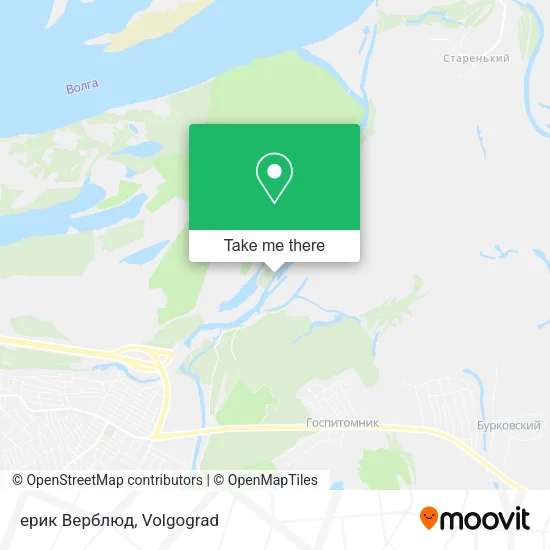 ерик Верблюд map