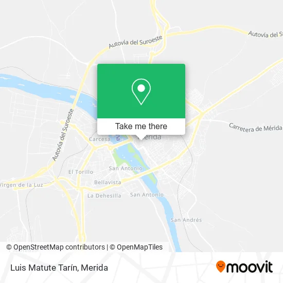 Luis Matute Tarín map