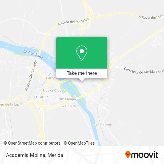 Academia Molina map