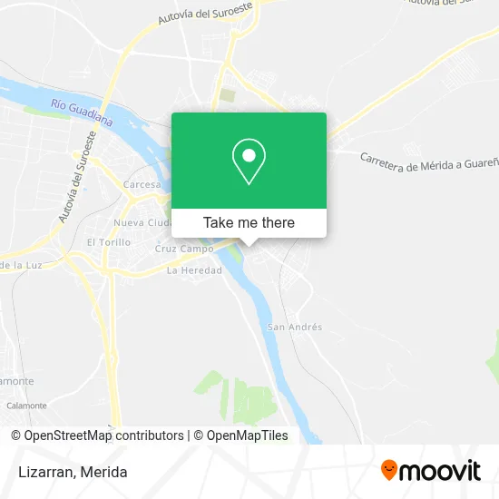 Lizarran map