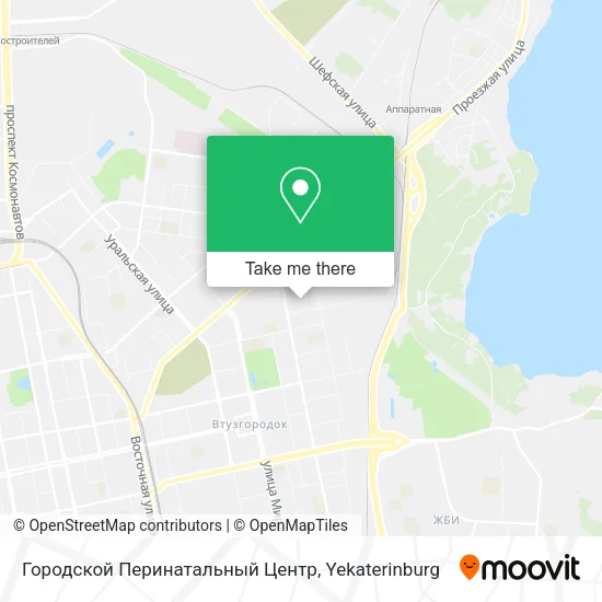 Городской Перинатальный Центр map