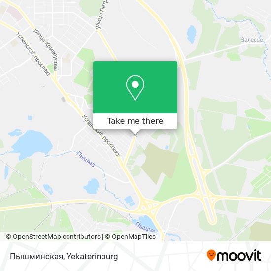 Пышминская map