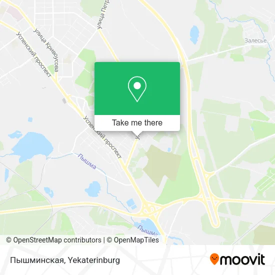 Пышминская map