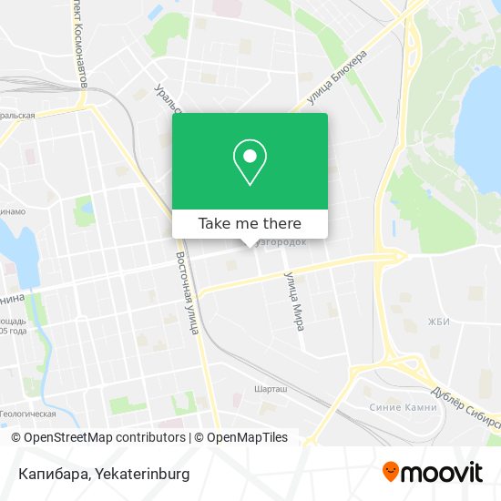Капибара map