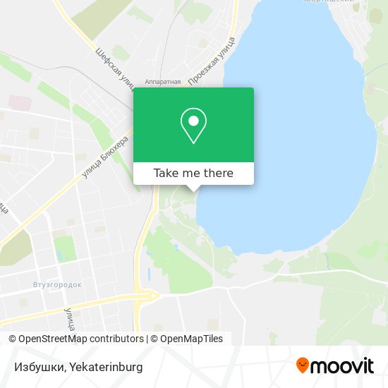 Избушки map