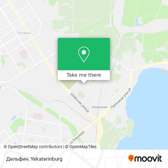 Дельфин map