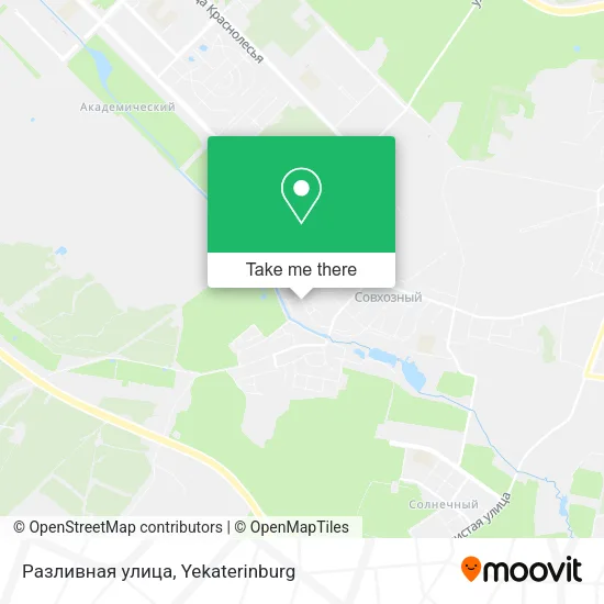 Разливная улица map