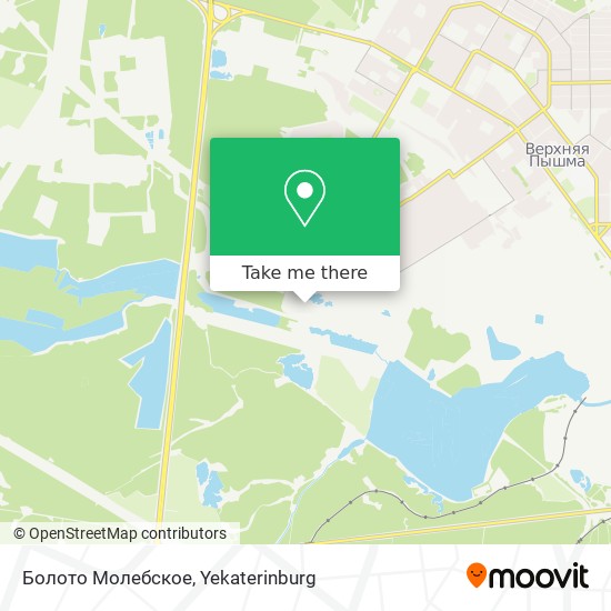 Болото Молебское map