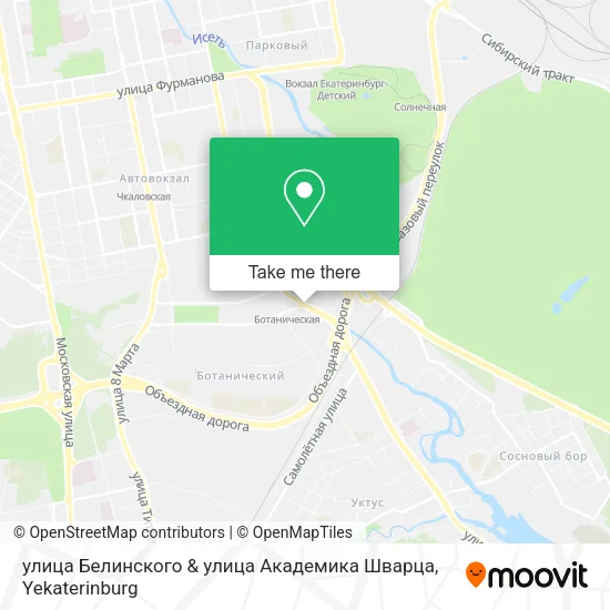 улица Белинского & улица Академика Шварца map