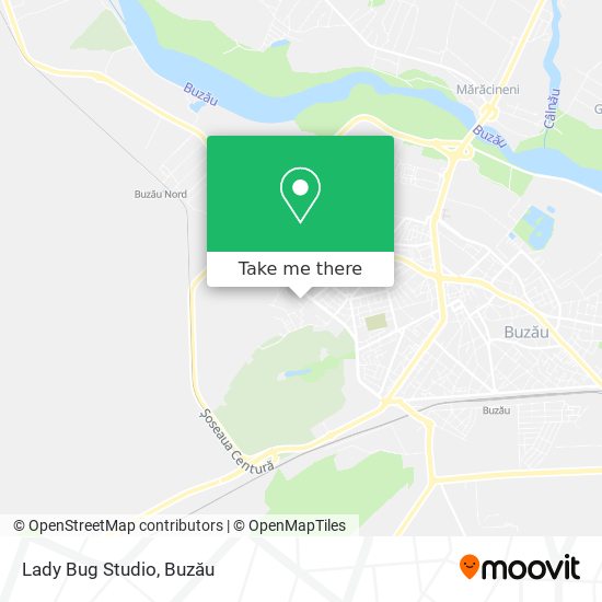 Lady Bug Studio map