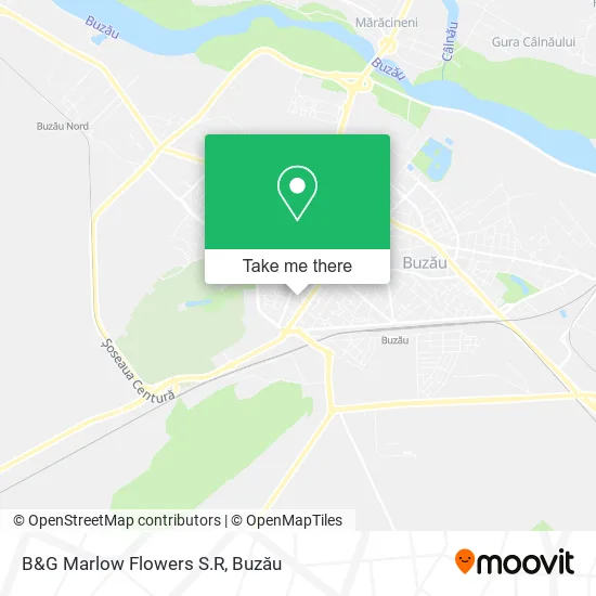 B&G Marlow Flowers S.R map