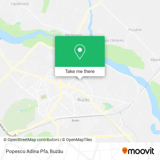 Popescu Adina Pfa map