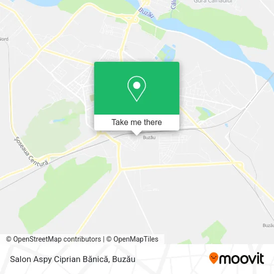Salon Aspy Ciprian Bănică map