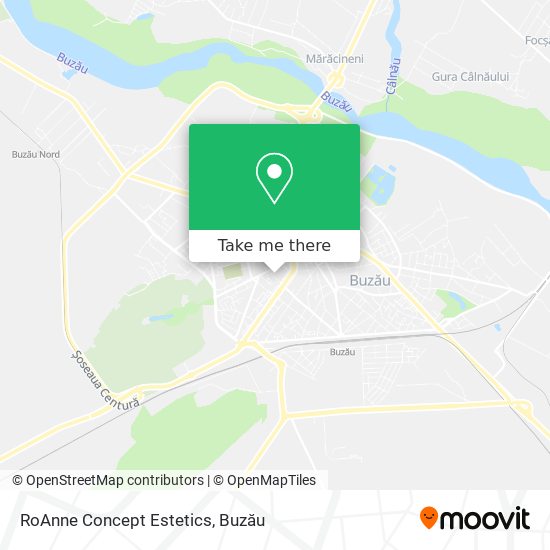 RoAnne Concept Estetics map